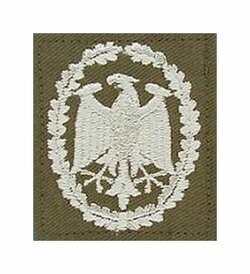 Nášivka Orlice orig. BW  stříbrná