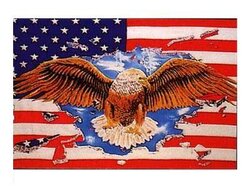 Vlajka USA Orel