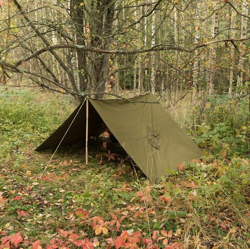 Celta Belgická Armáda - olivová