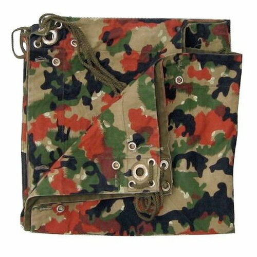 Celta Švýcarská armáda