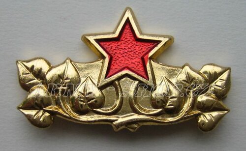 Odznak ČSLA - generálský - zlatavý