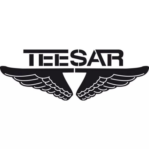 Parachute Cord 3mm/16m TEESAR černá