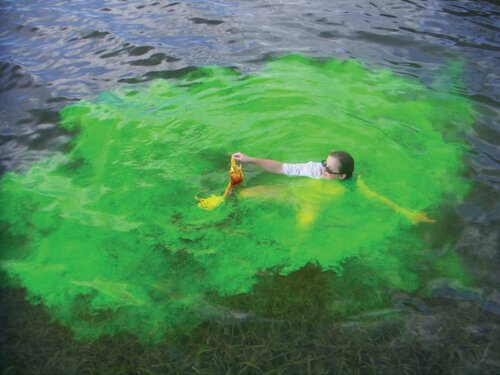 Repelent proti žralokům