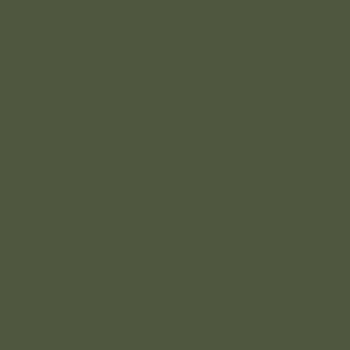 Barva ve spreji KRYLON camouflage Light Green - 311 g