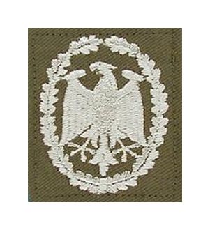Nášivka Orlice orig. BW  stříbrná