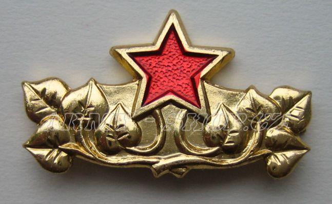 Odznak ČSLA - generálský - zlatavý