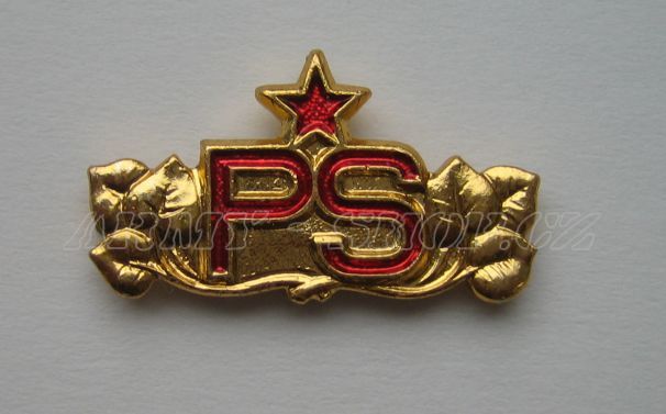 Odznak ČSLA - PS - zlatavý