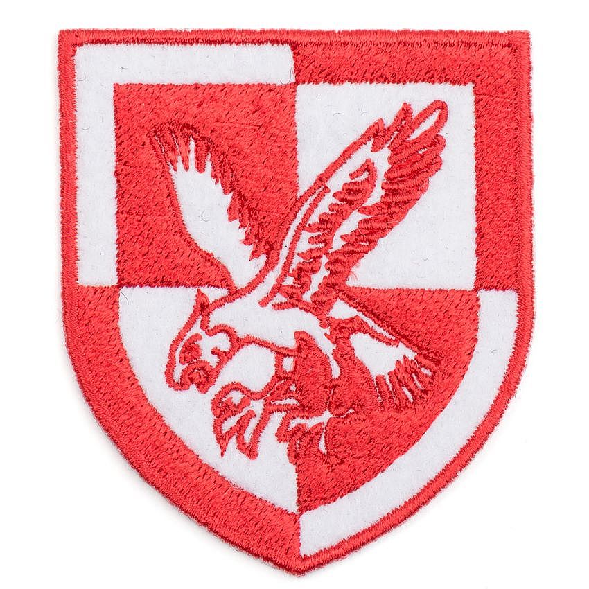 Nášivka Britská orel 16 AAB  barevná