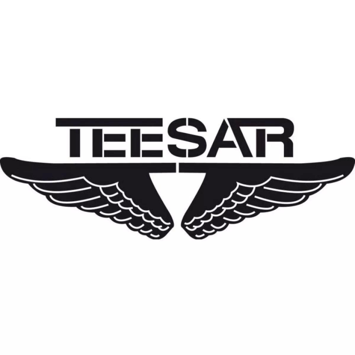 Parachute Cord 3mm/16m TEESAR černá