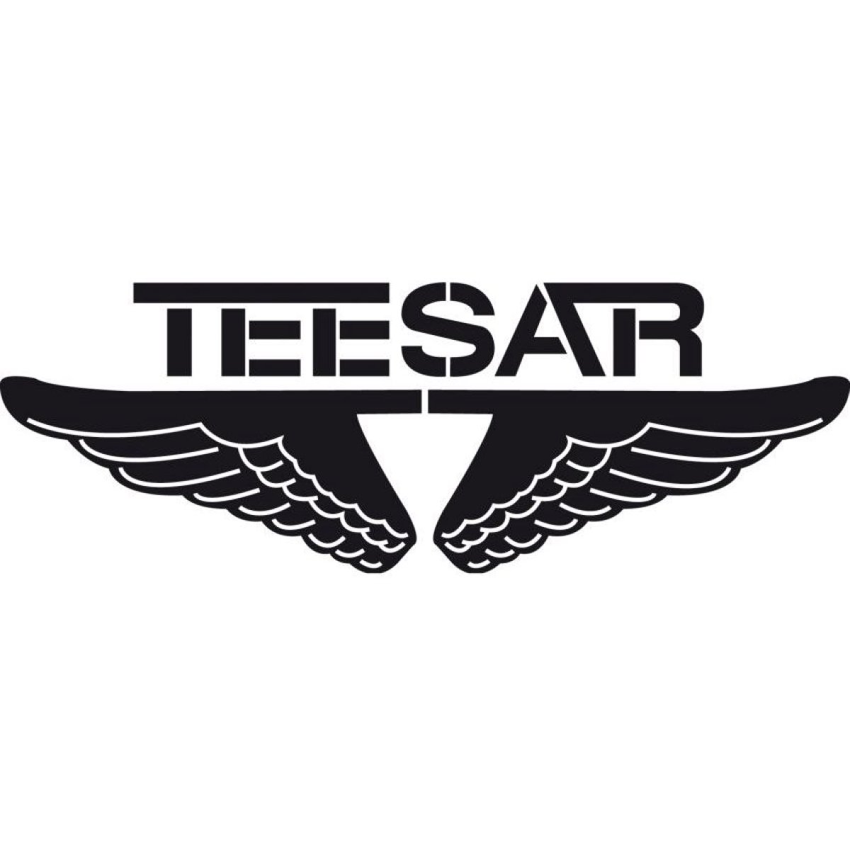 Parachute Cord ø 3mm/16m TEESAR zelená