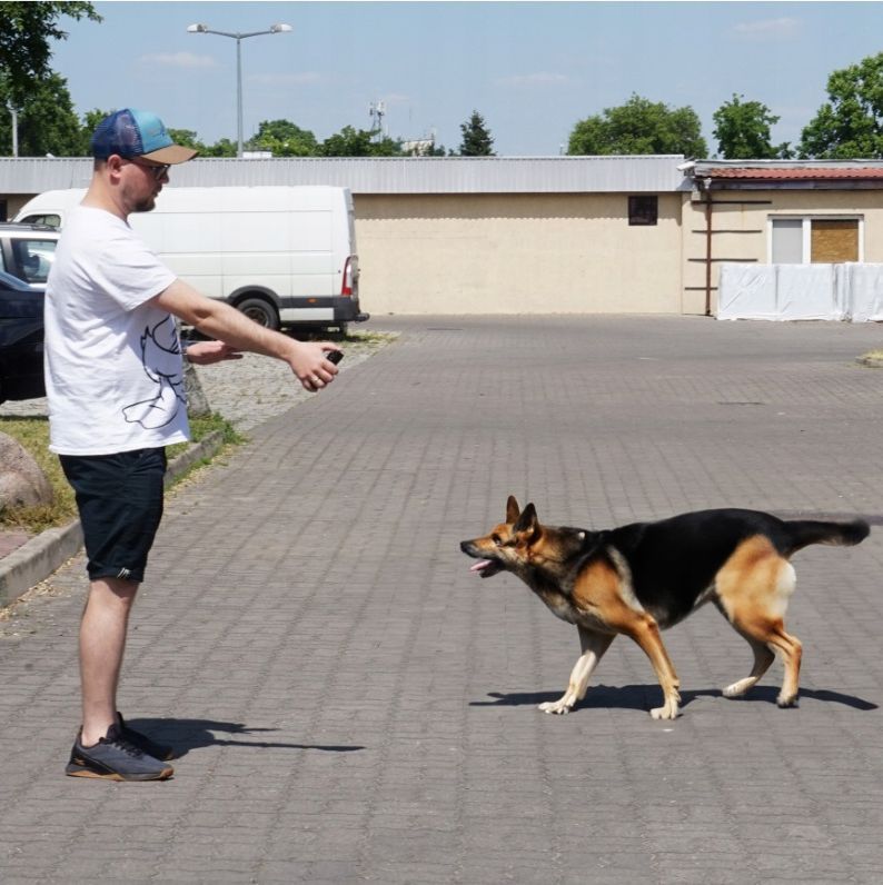 Sprej na agresivní psy ANTI DOG 63ml