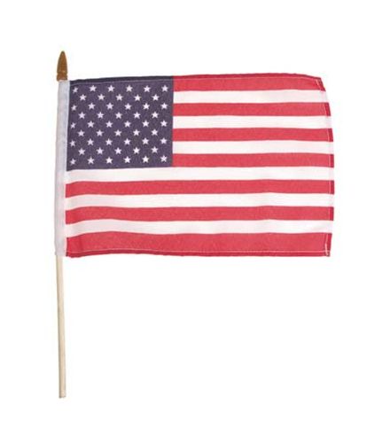 Vlajka USA - mini 10x15cm