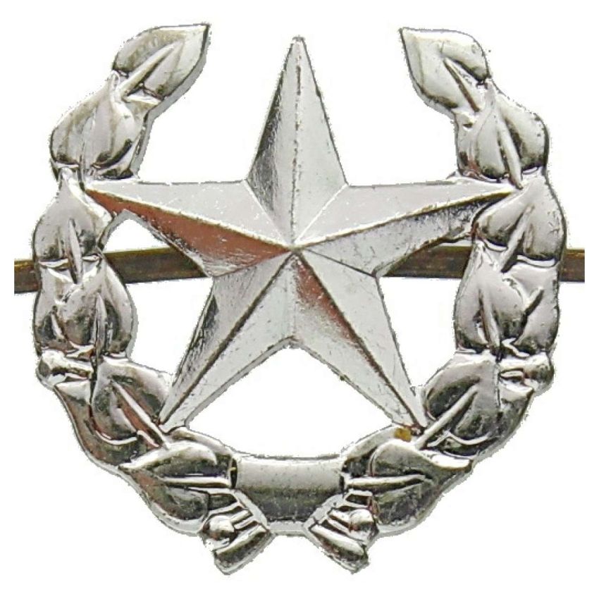 Odznak ČSLA vševojskový stříbrný