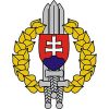 Čepice vz.97 Slovenská Armáda